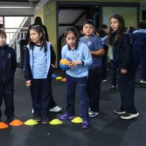 Día de la Actividad Física